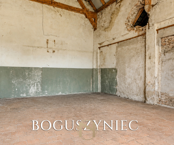 Boguszyniec - 649000 zł (nr 476/2181/ODS)