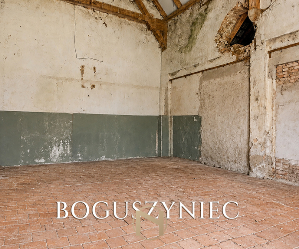 Boguszyniec - 649000 zł (nr 476/2181/ODS)
