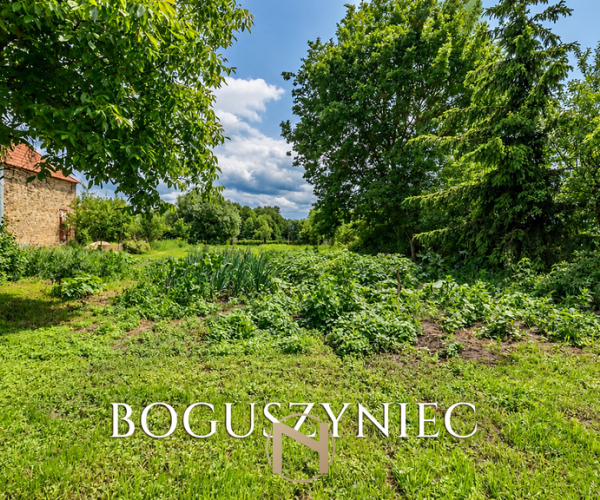 Boguszyniec - 649000 zł (nr 476/2181/ODS)