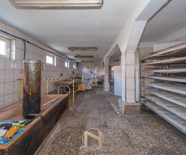 Stare Polichno - 420000 zł (nr 55/2181/OOS)