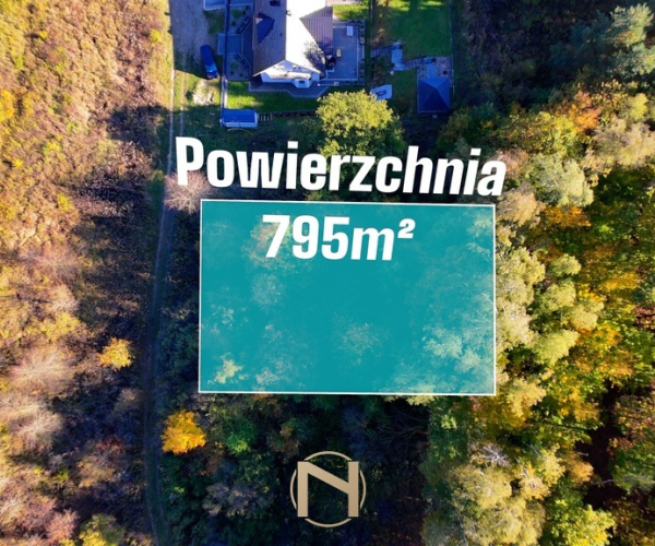 Łupowo - 100000 zł (nr 250/2181/OGS)