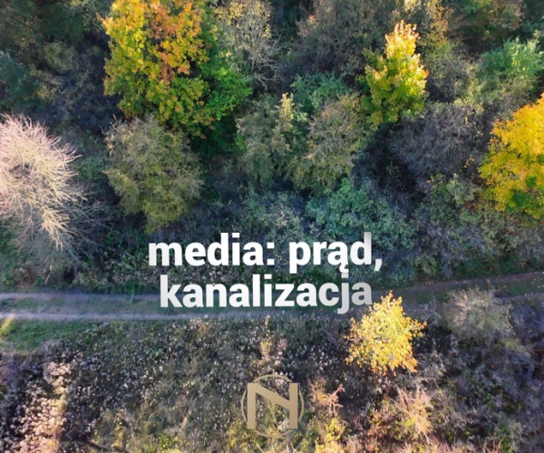 Łupowo - 100000 zł (nr 250/2181/OGS)