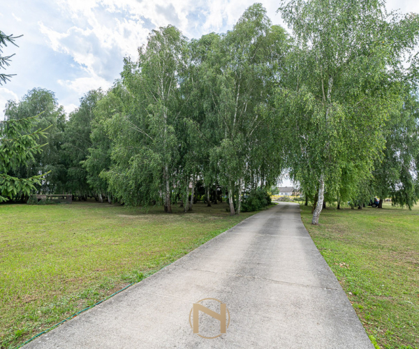 Deszczno - 1189000 zł (nr 265/1987/ODS)