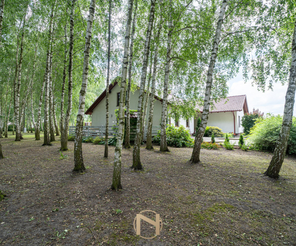 Deszczno - 1189000 zł (nr 265/1987/ODS)