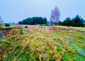 Działka na sprzedaż, Karnin - 204 525 zł