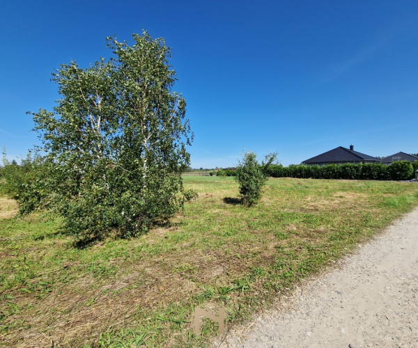 Osiedle Poznańskie - 120000 zł (nr 1060/2301/OGS)