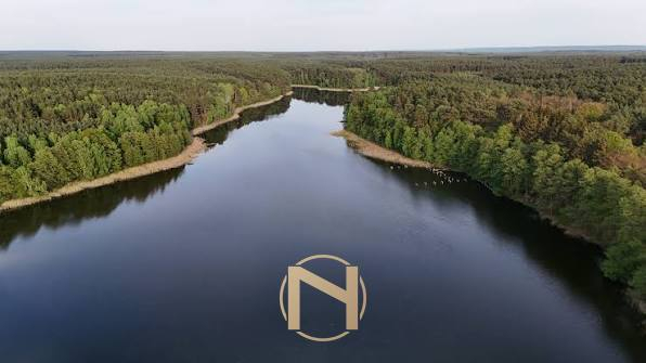 Sosny - 145000 zł (nr 1350/2562/OGS)