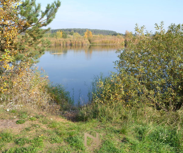 Przysieka - 169000 zł (nr 215/2364/OGS)