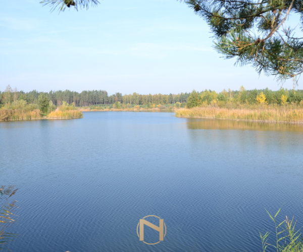 Przysieka - 169000 zł (nr 215/2364/OGS)