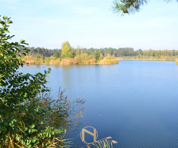 Przysieka - 169000 zł (nr 215/2364/OGS)