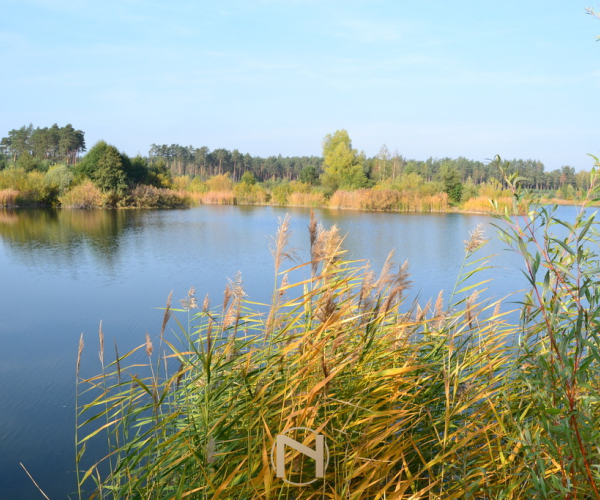 Przysieka - 169000 zł (nr 215/2364/OGS)