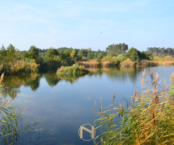 Przysieka - 169000 zł (nr 215/2364/OGS)