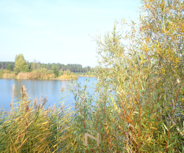 Przysieka - 169000 zł (nr 215/2364/OGS)