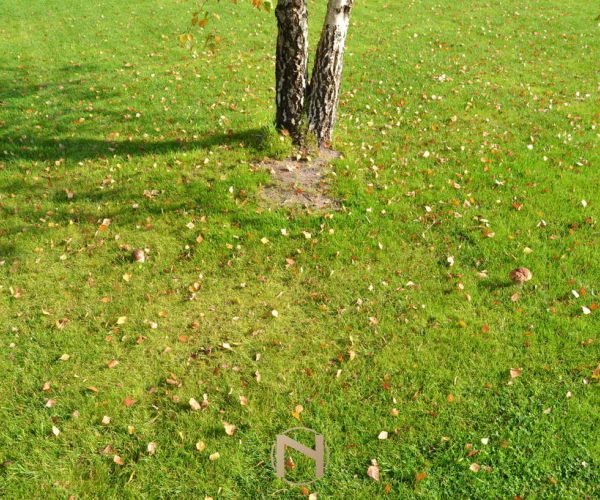 Przysieka - 169000 zł (nr 215/2364/OGS)