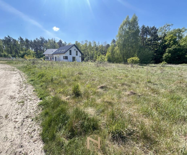 Skwierzyna - 150620 zł (nr 1354/2562/OGS)