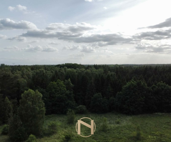 Skwierzyna - 311610 zł (nr 1355/2562/OGS)