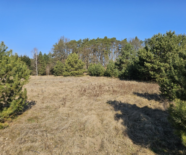 Łośno - 297000 zł (nr 1370/2562/OGS)