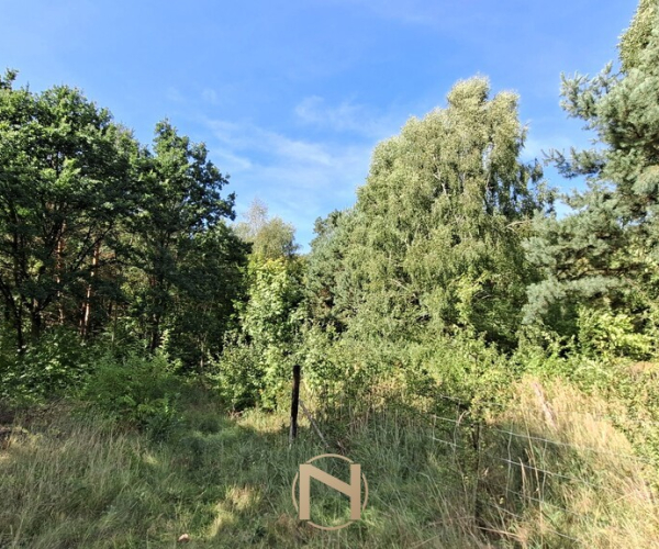 Bogdaniec - 120000 zł (nr 1082/2301/OGS)