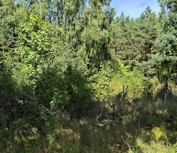 Bogdaniec - 120000 zł (nr 1082/2301/OGS)