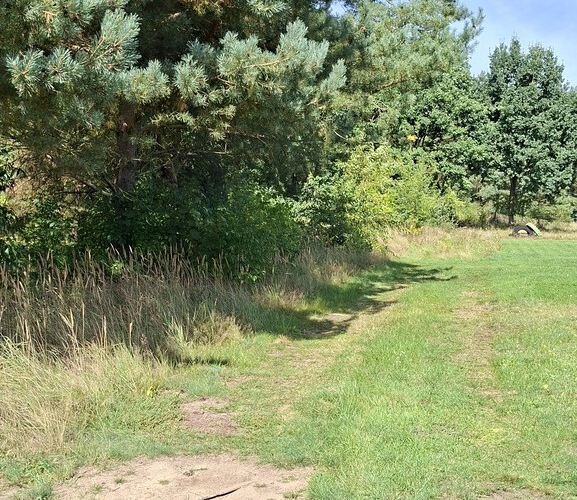 Bogdaniec - 120000 zł (nr 1082/2301/OGS)