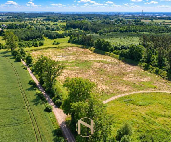 Baczyna-Kolonia - 749000 zł (nr 467/3070/OGS)