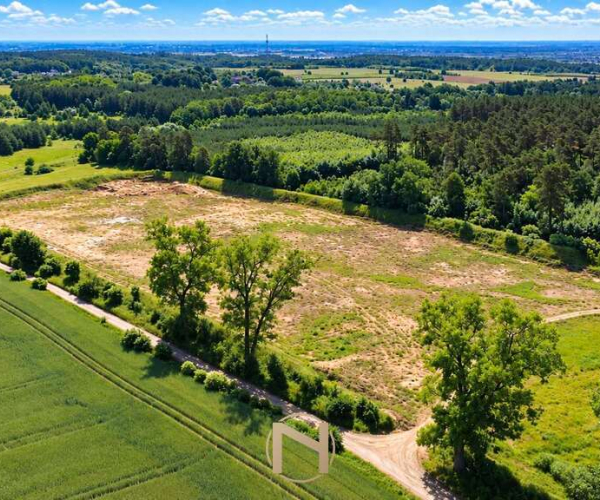 Baczyna-Kolonia - 749000 zł (nr 467/3070/OGS)