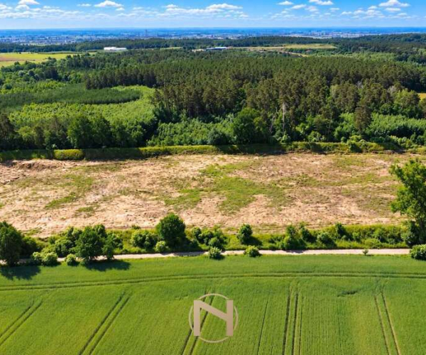 Baczyna-Kolonia - 749000 zł (nr 467/3070/OGS)