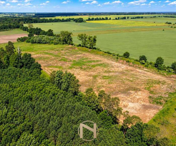 Baczyna-Kolonia - 749000 zł (nr 467/3070/OGS)