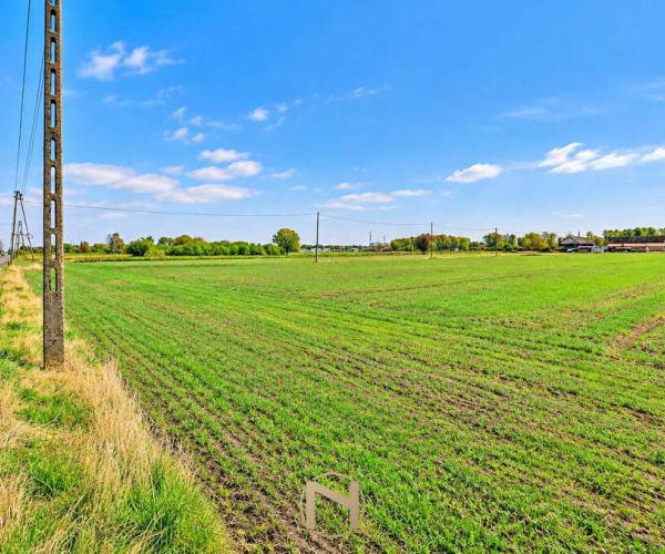 Gorzów Wlkp., Zakanale - 550000 zł (nr 484/3070/OGS)