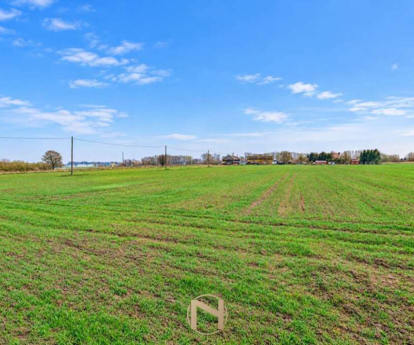 Gorzów Wlkp., Zakanale - 550000 zł (nr 484/3070/OGS)