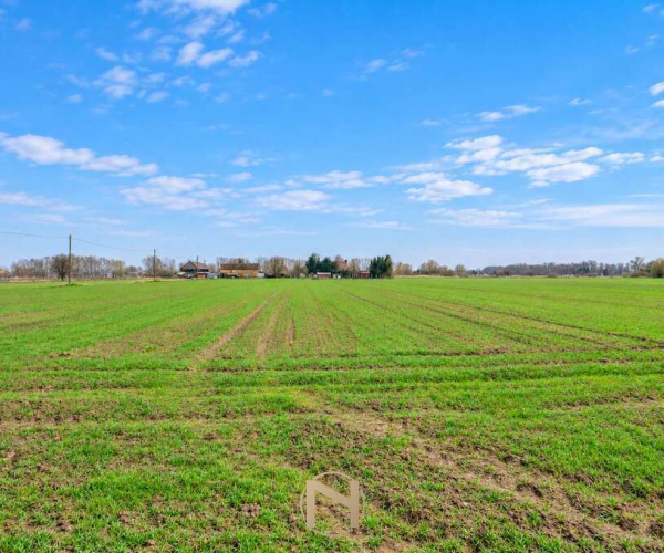 Gorzów Wlkp., Zakanale - 550000 zł (nr 484/3070/OGS)