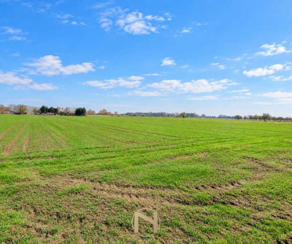 Gorzów Wlkp., Zakanale - 550000 zł (nr 484/3070/OGS)