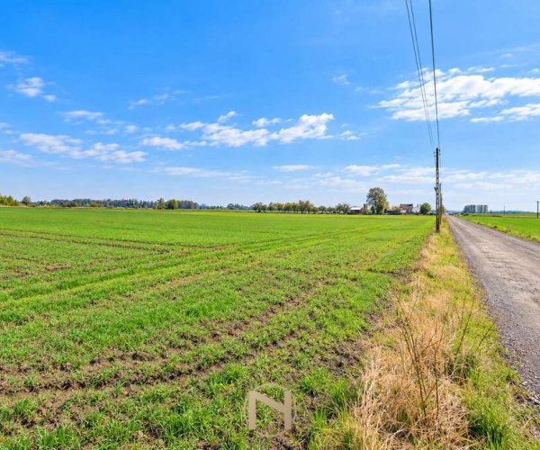 Gorzów Wlkp., Zakanale - 550000 zł (nr 484/3070/OGS)
