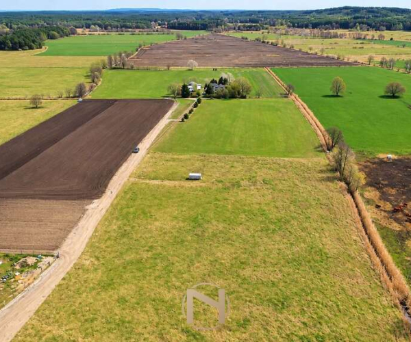 Skwierzyna - 125000 zł (nr 491/3070/OGS)