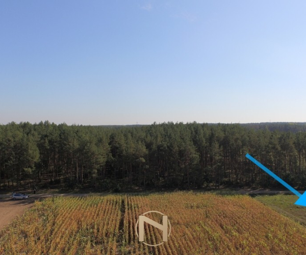 Dziersławice - 79000 zł (nr 1377/2562/OGS)