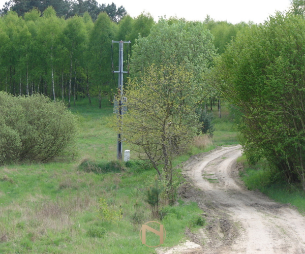 Siemczyno - 150000 zł (nr 736/8967/OGS)