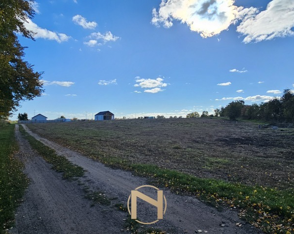 Działka na Sprzedaż, Golenice - 99 000 zł