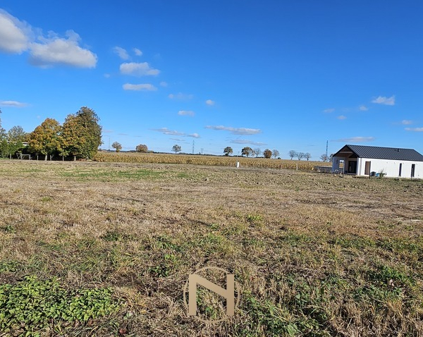 Golenice - 99000 zł (nr 178/3120/OGS)