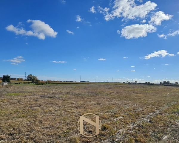 Golenice - 99000 zł (nr 178/3120/OGS)