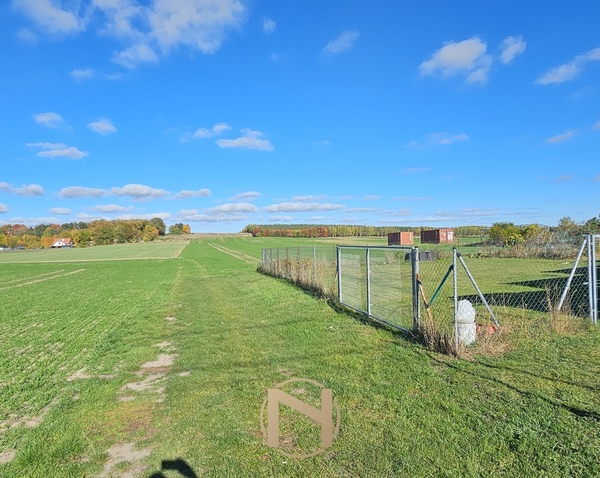 Działka na Sprzedaż, Trzcinna - 69 000 zł
