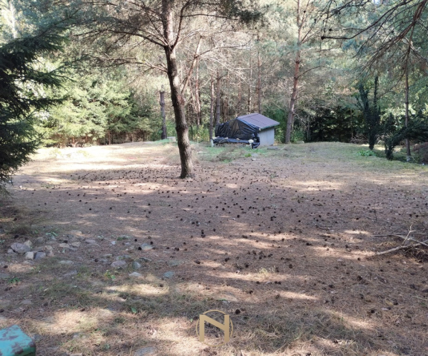 Chłopowo - 89000 zł (nr 737/8967/OGS)