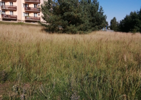 Działka na sprzedaż, Lubiszyn - 59 000 zł