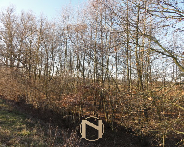 Kostrzyn Nad Odrą, Warniki - 75000 zł (nr 108/3129/OGS)