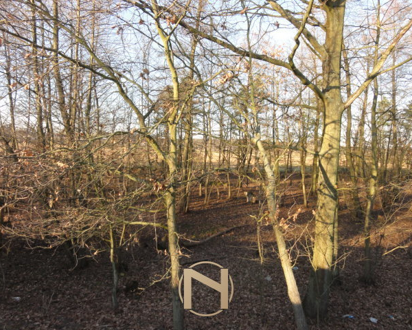 Kostrzyn Nad Odrą, Warniki - 75000 zł (nr 108/3129/OGS)