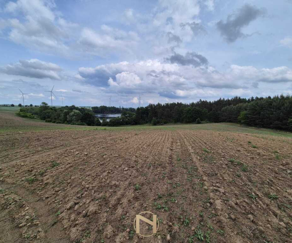 Objezierze - 580000 zł (nr 771/3504/OGS)