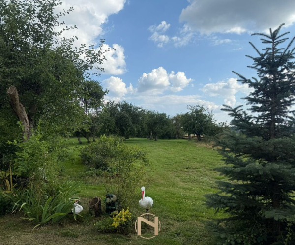 Warnice - 390000 zł (nr 112/3120/ODS)