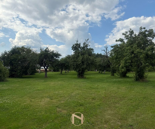 Warnice - 390000 zł (nr 112/3120/ODS)
