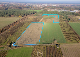 Działka na sprzedaż, Skwierzyna - 1 626 000 zł