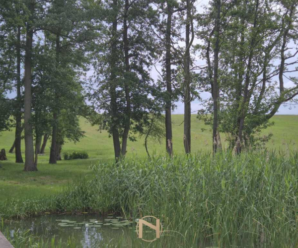 Stary Klukom - 350000 zł (nr 783/3504/OGS)