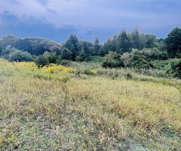 Gorzów Wlkp., Os. Piaski - 429030 zł (nr 784/3504/OGS)